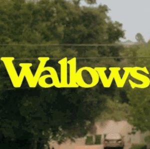 Meet your Posher, Amaylia